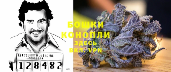 трава Бородино